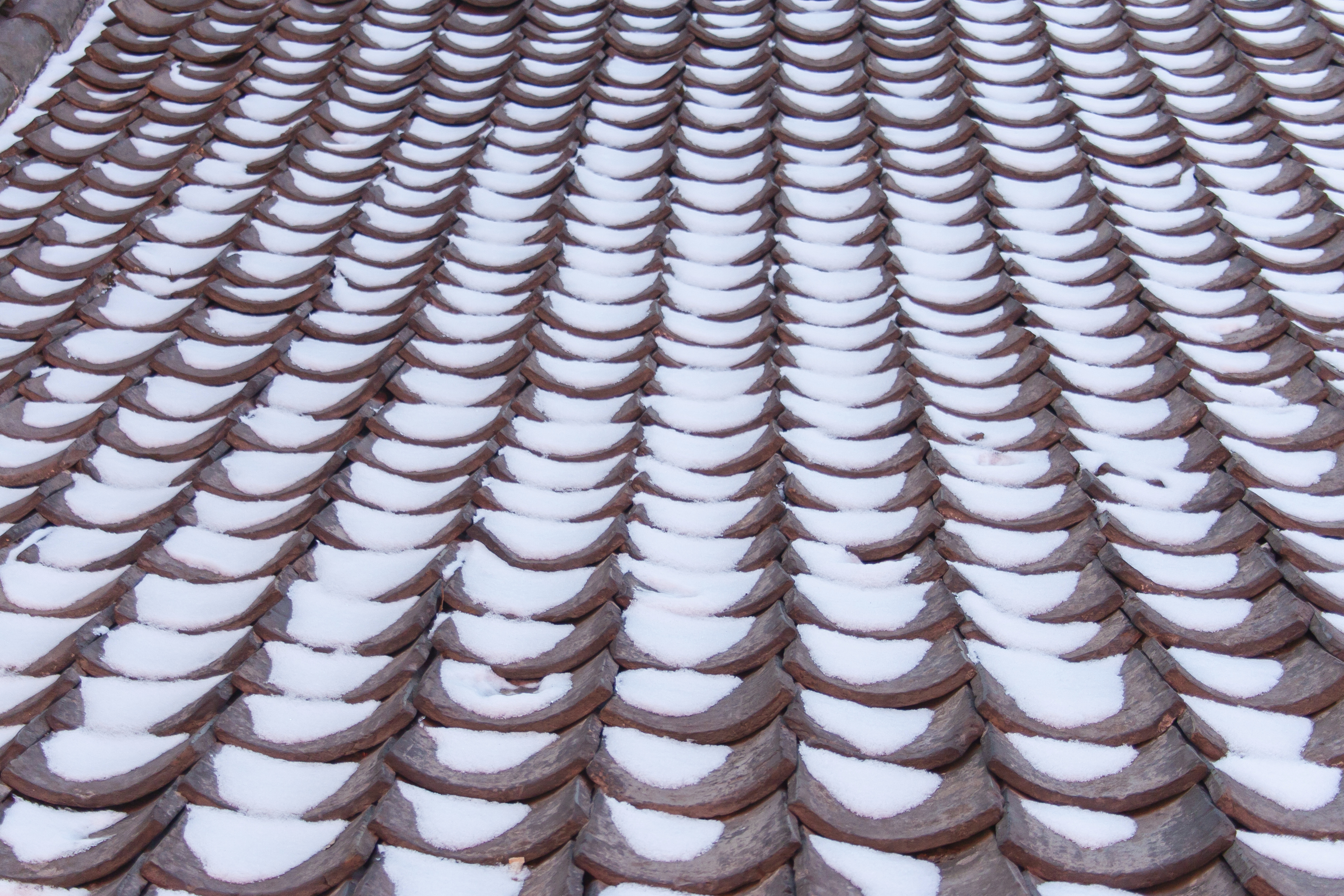 snow accumulates on roof tiles