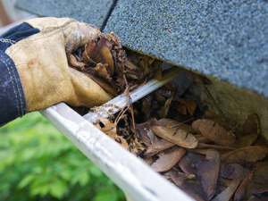 Rain Gutter Cleaning Safety Tips